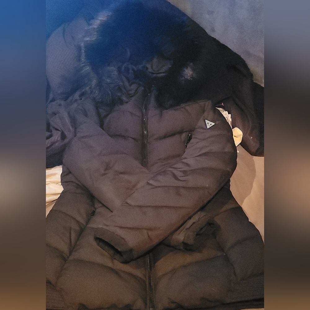 SALE~GUESS PUFF COAT M